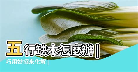 補木 五行|八字命理:五行缺木怎麼辦！看看你的該怎麼化解？